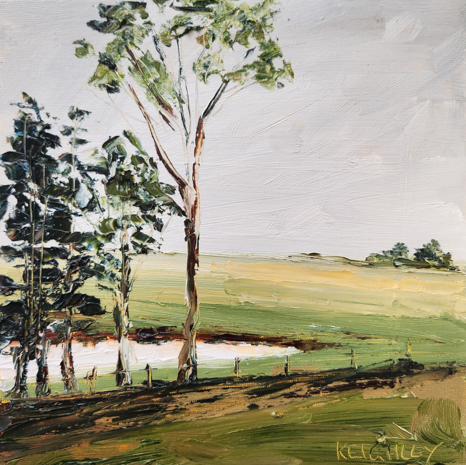 Stillwater Memory Stillwater Memory