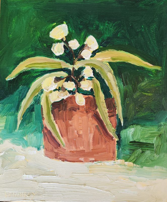 Flowering Gum in Terracotta