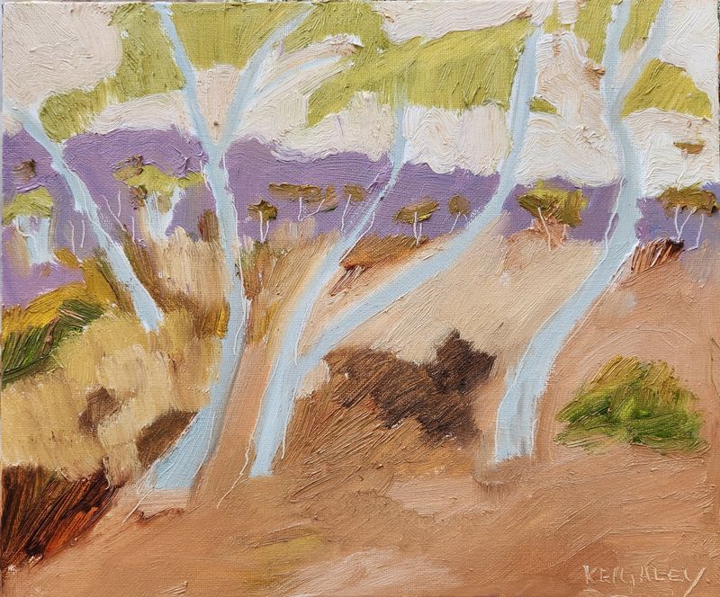 Mallee Gums no.1