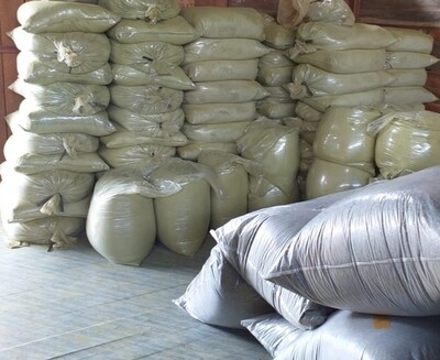 Green, White, Red Borneo Wholesale
