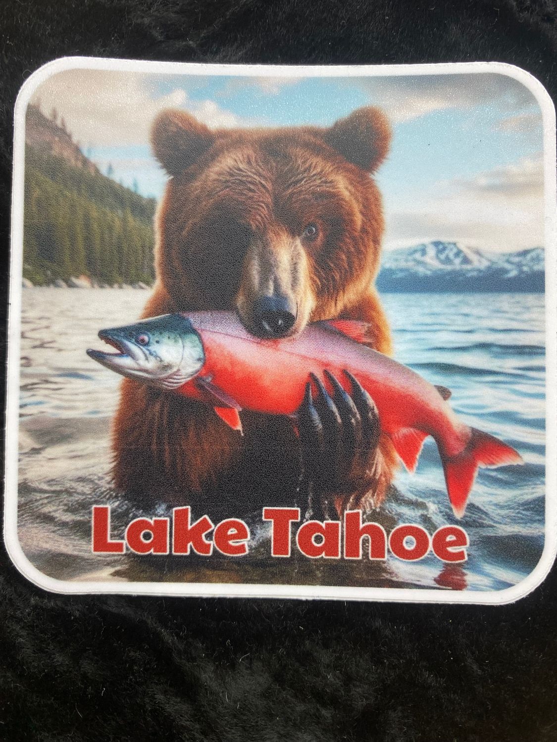 B.M.B. / Salmon harvest