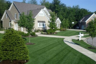 Annual Lawn Care - 7 Step Plan