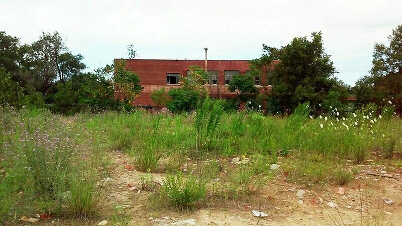 City Lot Cleanup