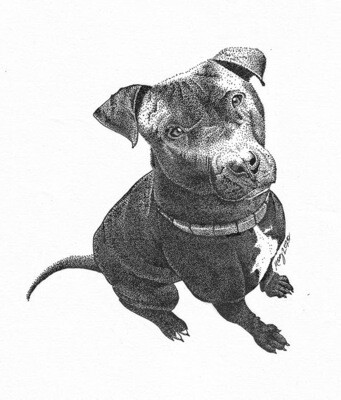 Tu Mascota en Puntillismo
