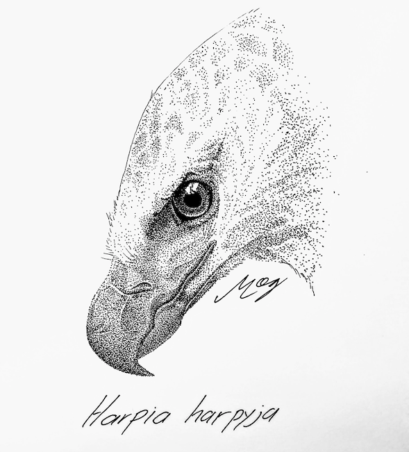 Tu animal favorito en Puntillismo