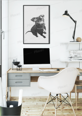 Ilustraciones Decorativas