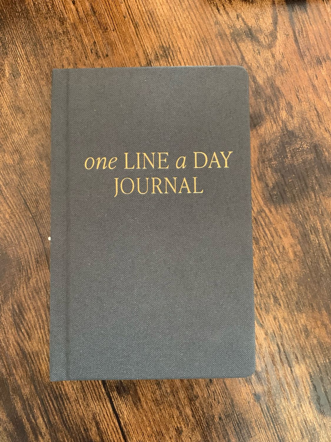 One Line a Day Journal