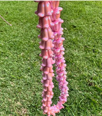 Crown Flower Lei
