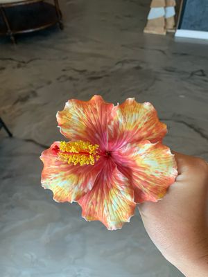 Large Hibiscus Pick