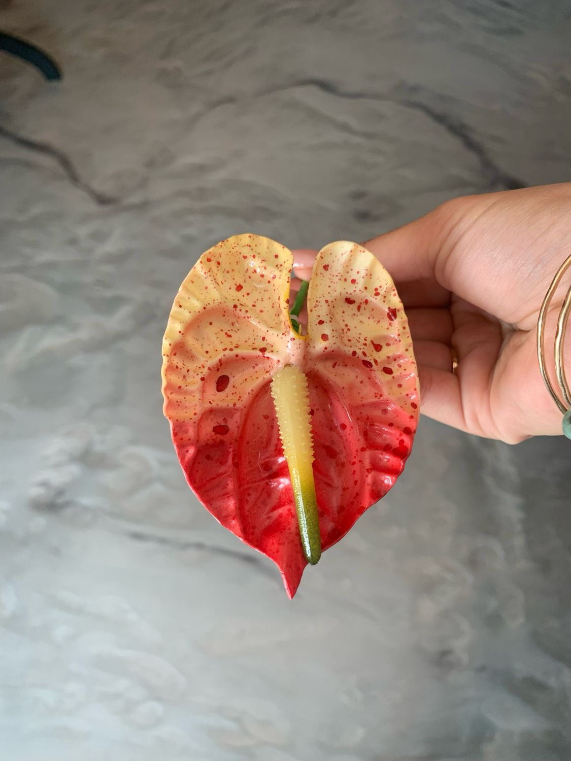 Large Anthurium Pick