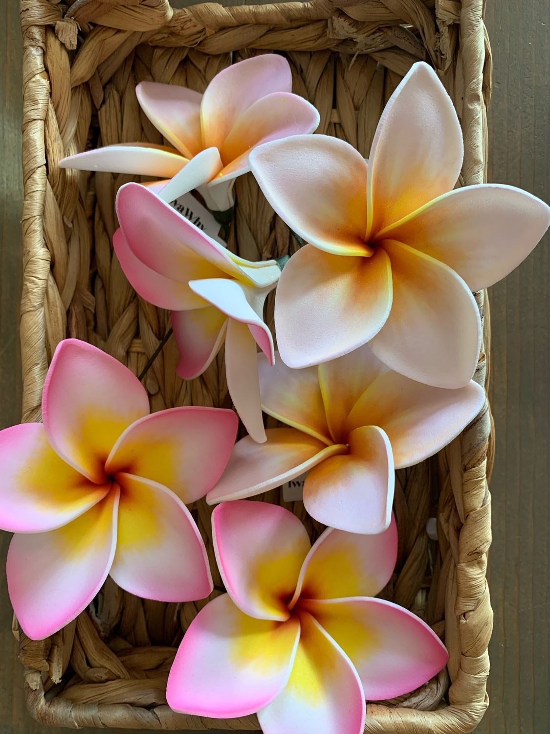 Large Plumeria Picks