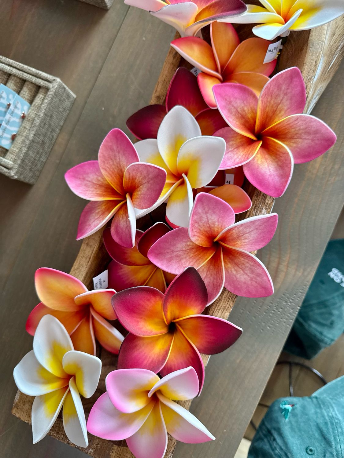 Large Plumeria Picks