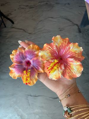 Medium Hibiscus Picks