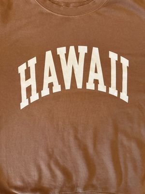 Hawaii BF Sweatshirt