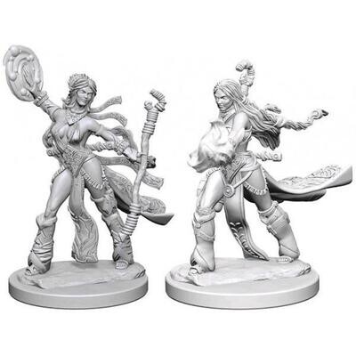 Human Female Sorcerer