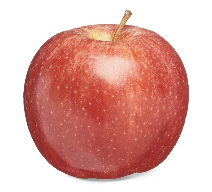 *Hiker PreOrder* Fresh Fruit