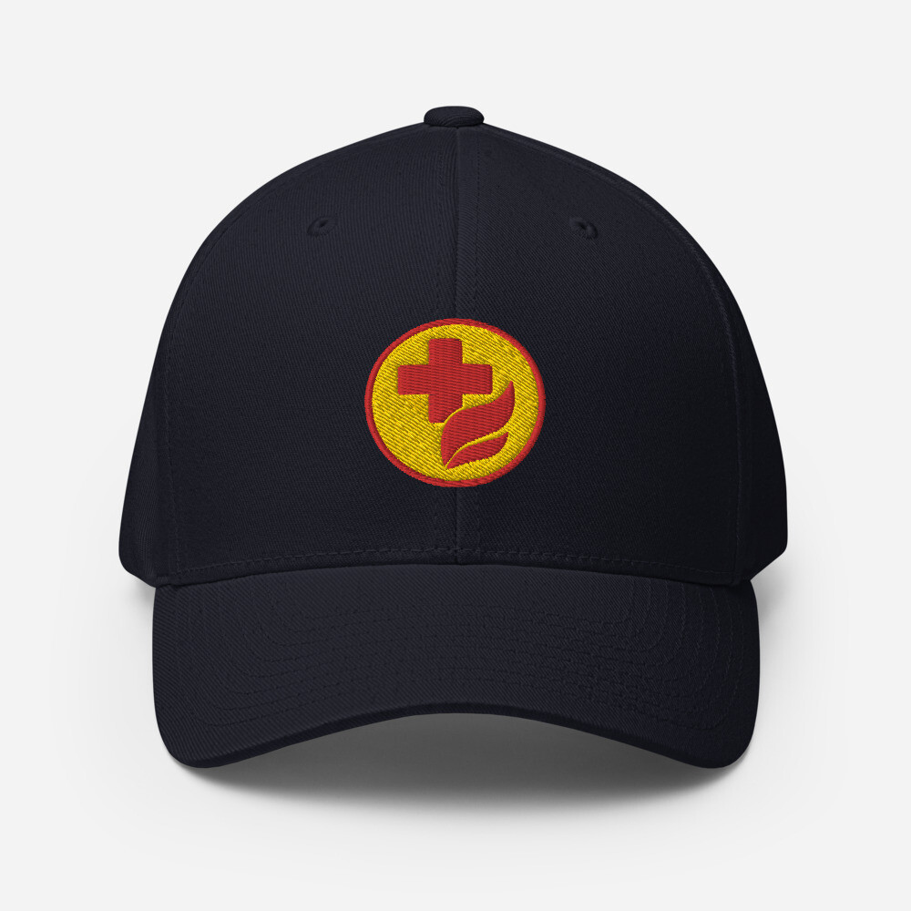 DR PAINS Flexfit Structured Twill Cap, Color: Dark Navy, Size: S/M