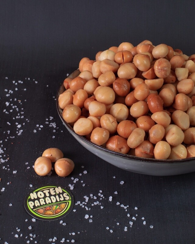 Roasted &amp; Salted Macadamia Nuts
