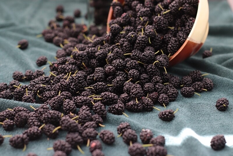 Dried Black Mulberries