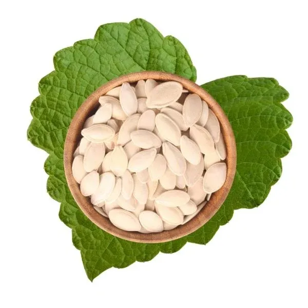 Roasted &amp; Salted Pumpkin Seeds