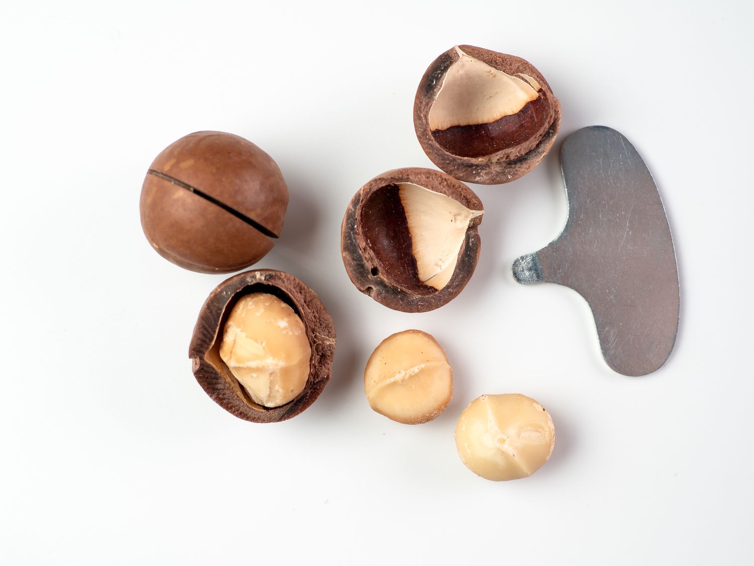 Macadamia Nuts in Shell (Roasted &amp; Salted)