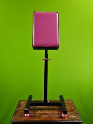 Pink tattoo Armrest with Illusion pink accents.