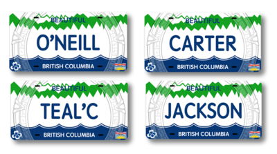 STARGATE LICENSE PLATE SET (4) STARGATE LICENSE PLATE SET (4)
