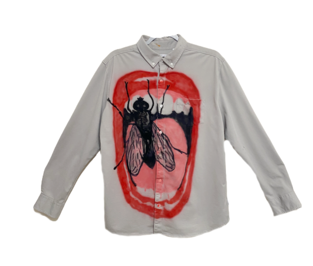 HUMAN FLY