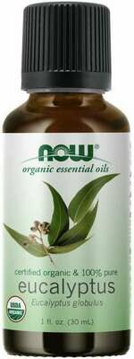 Eucalyptus Essential Oil - Organic