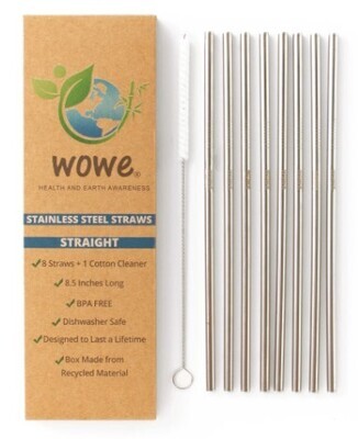 WOWE Stainless Steel Straws