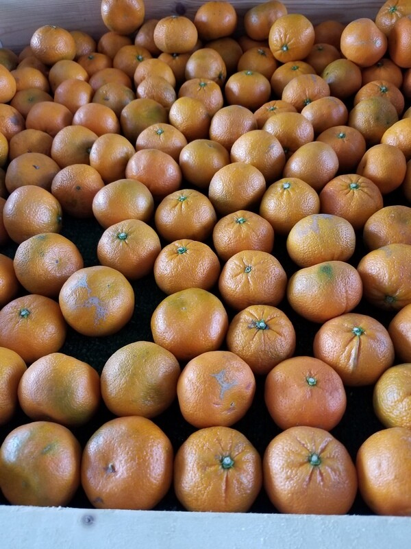 Mandarins (10 for $3)