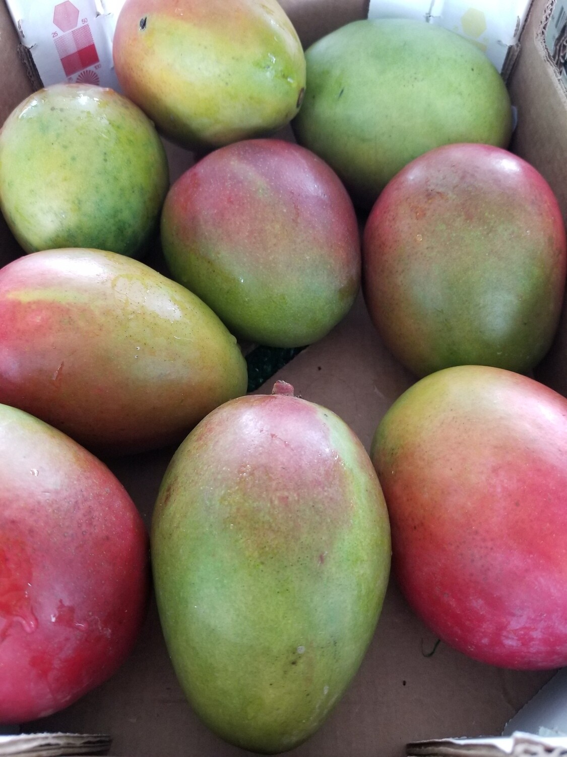 Mangos