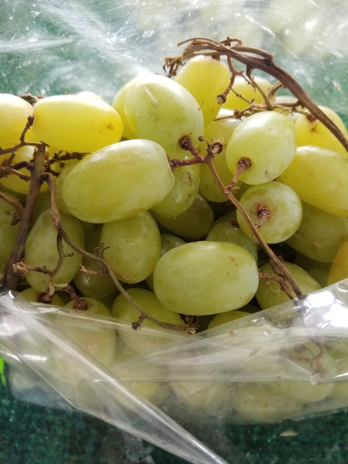 Grapes Green (2.25lb bag for $5.99)