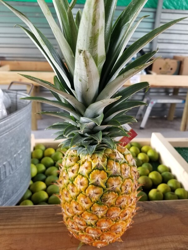 Pineapples