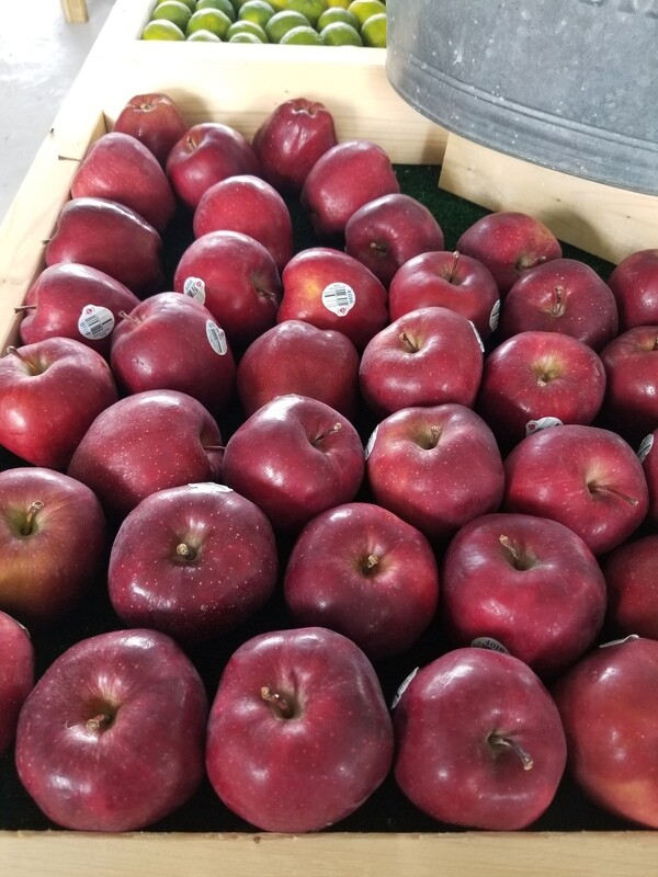 Apples Red Delicious (5 for $3)