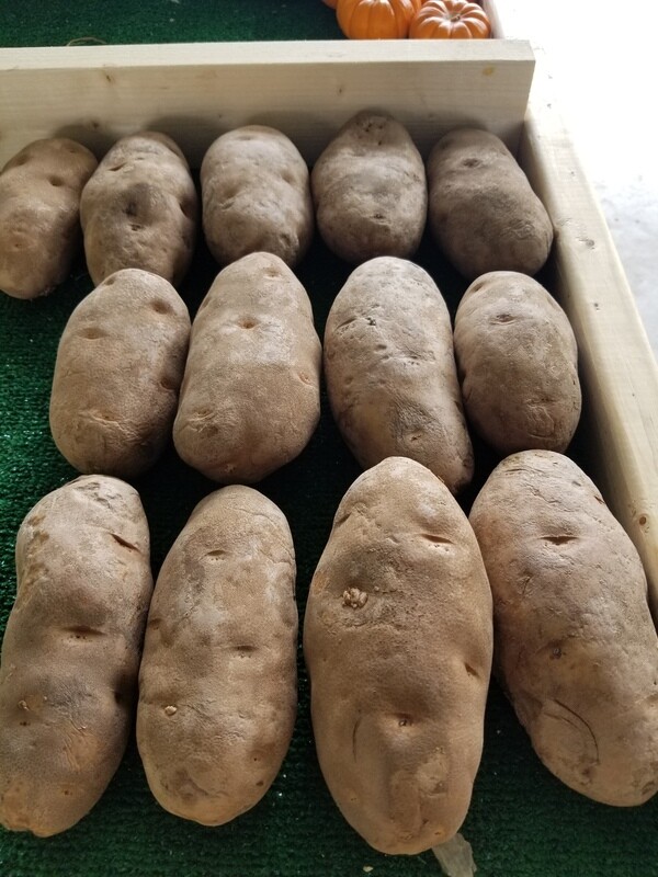 Potatoes Russet (2 for $3, Large!)