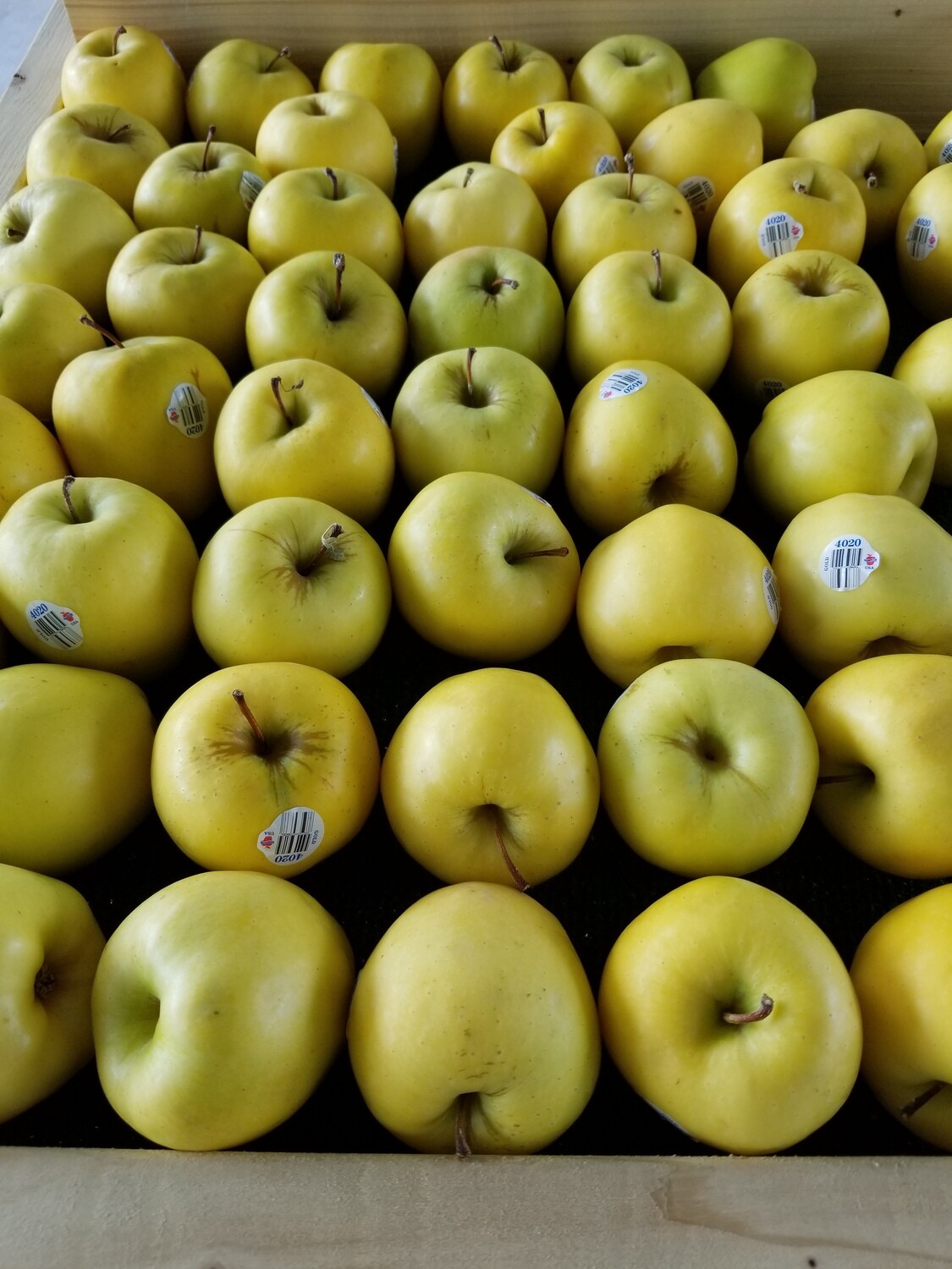 Apples Gold Delicious (5 for $3)