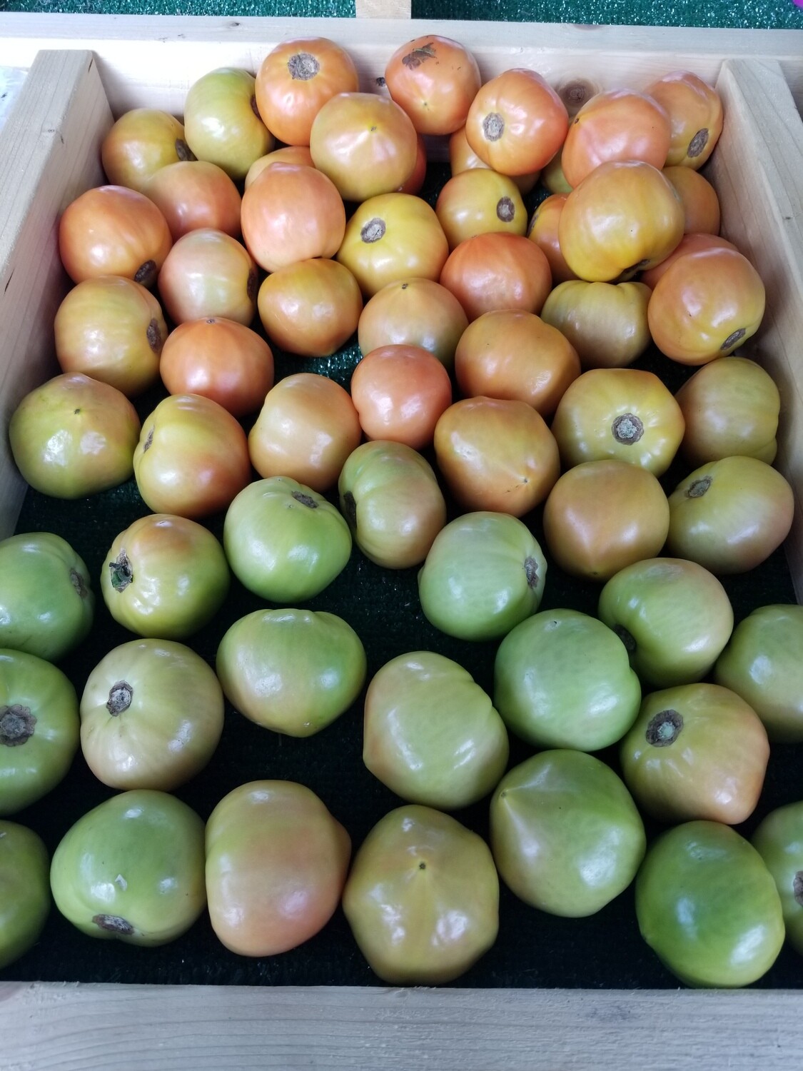 Tomatoes (2 for $1)