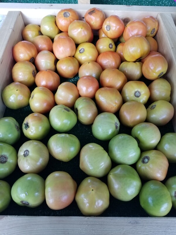 Tomatoes (2 for $1)