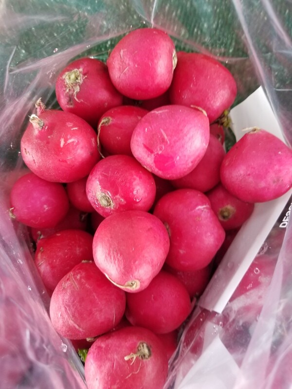 Radishes (5lb bag)