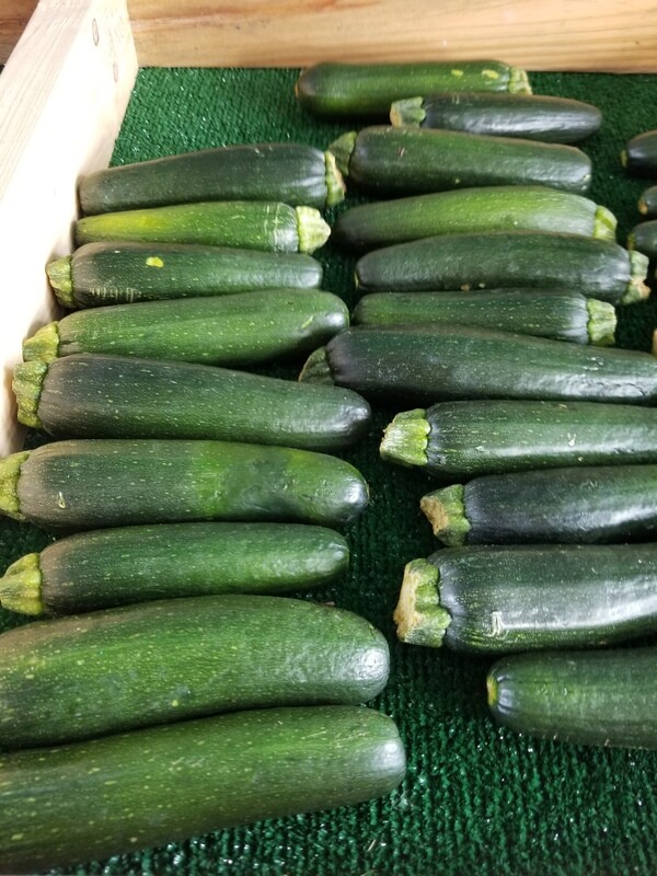 Zucchini (2 for $1)