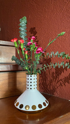 Judy Vase