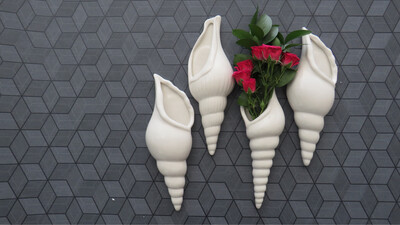 Shell - Aplique de Pared