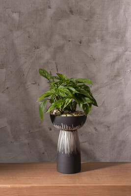 Bellatrix - 2 in 1 vase set