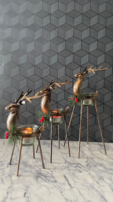 Deer Set
