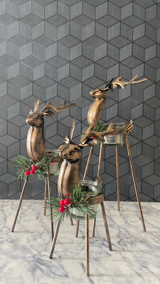 Deer Set