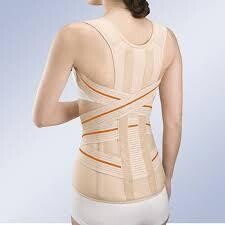 Dorso Lumbar support