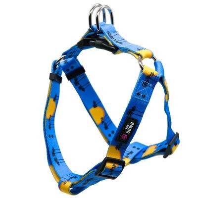 Harnesses