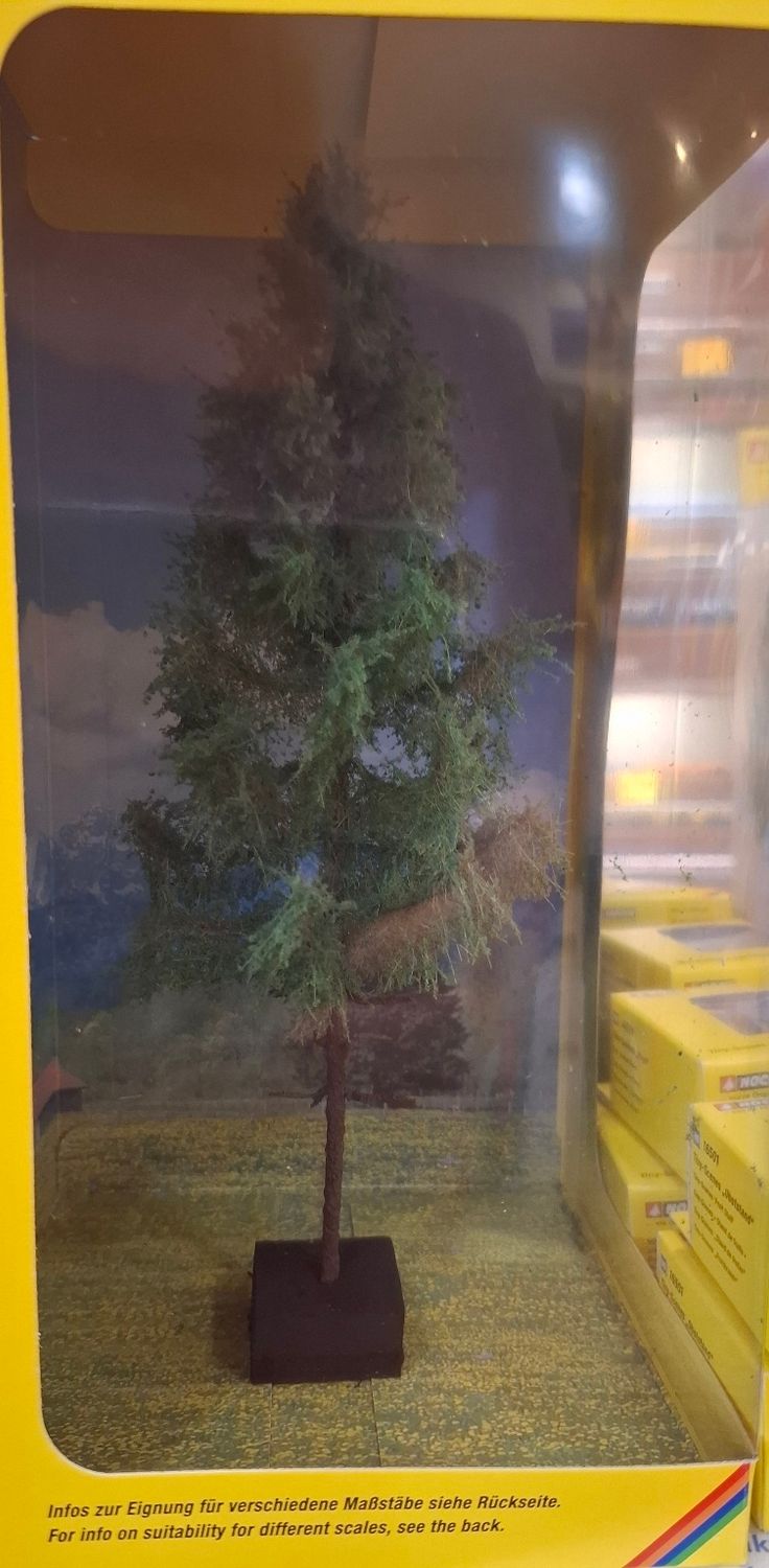 Noch 20196, Hochstammfichte 21cm, H0