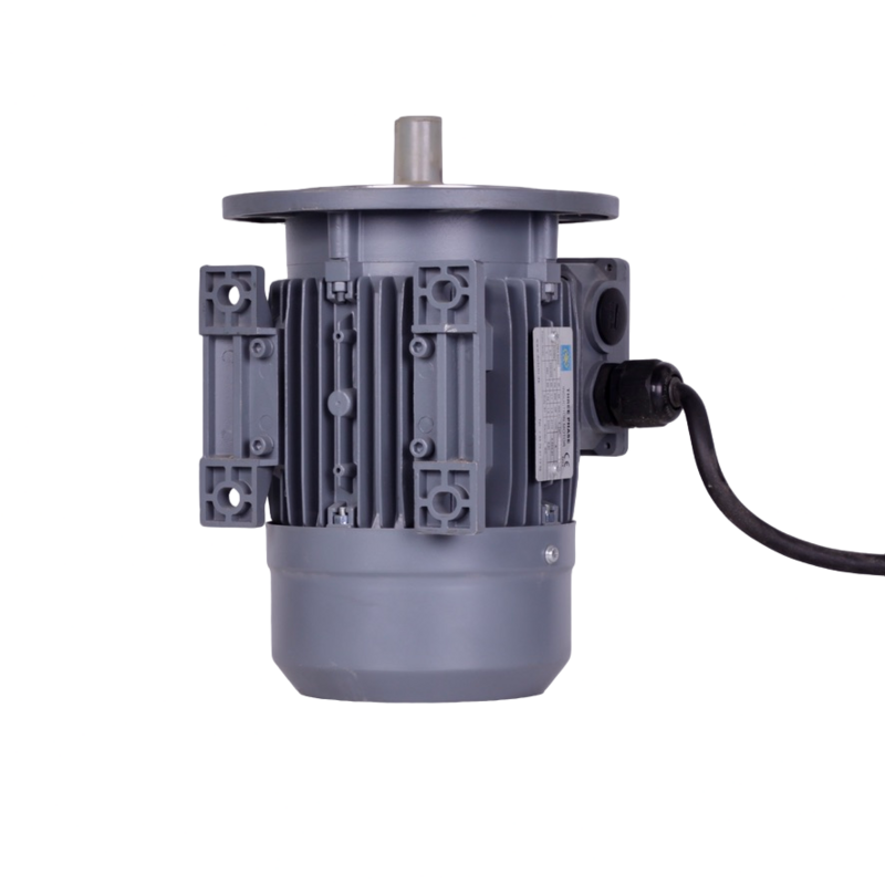 Dreiphasen Induktions Motor  Dutchi DMA 80 G2 Dänische Qualität